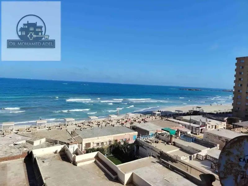 شقة في الإسكندرية
