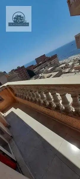 شقة في الإسكندرية