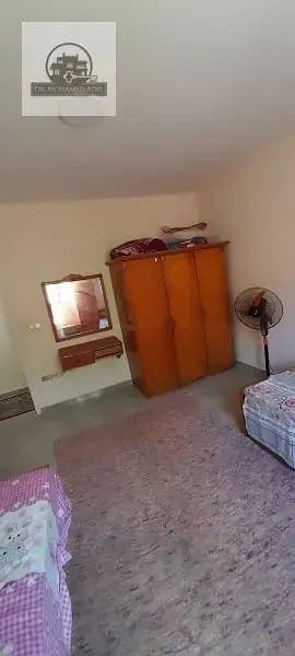 شقة في الإسكندرية
