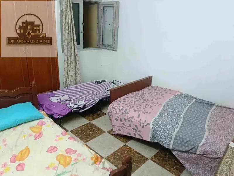 شقة في الإسكندرية