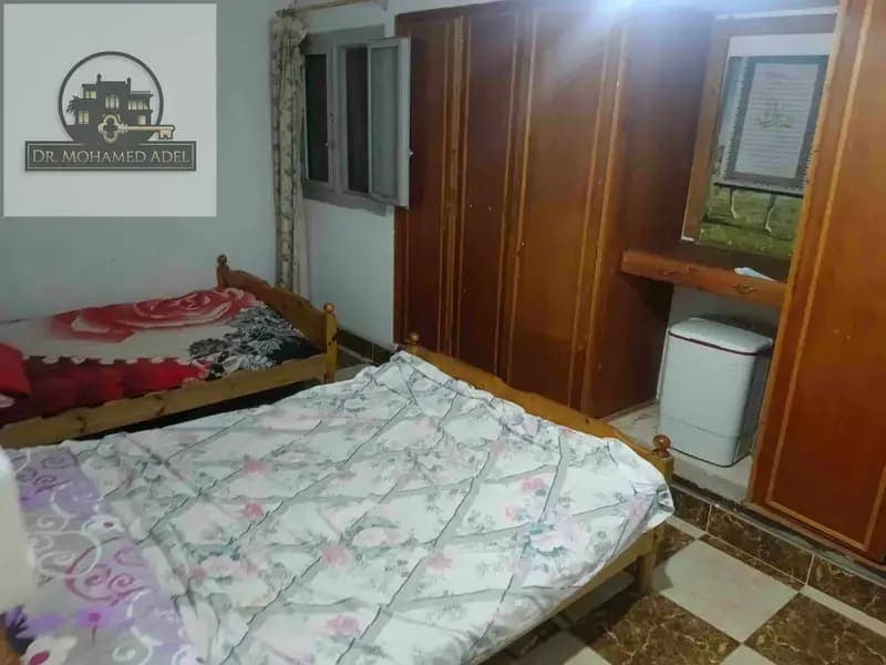 شقة في الإسكندرية