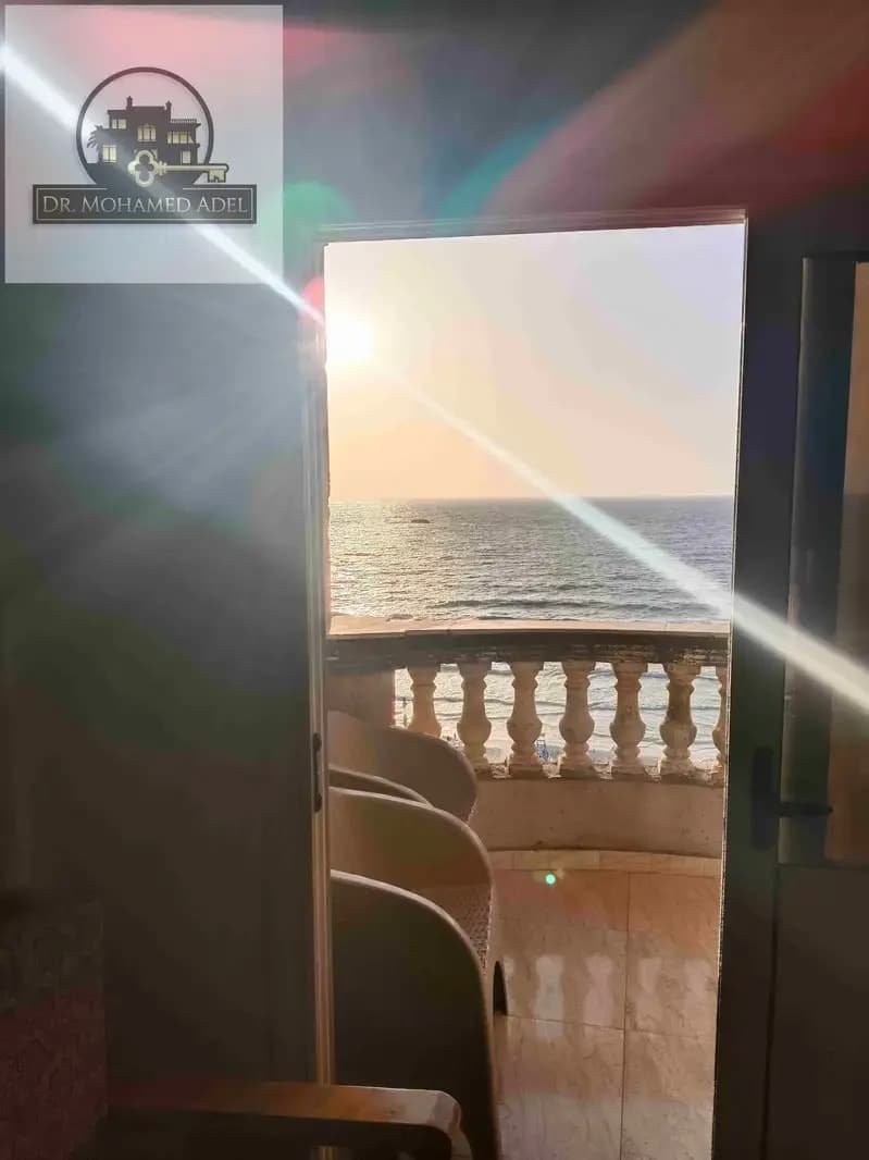 شقة في الإسكندرية