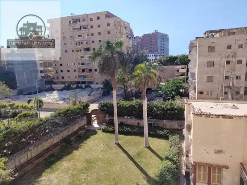 شقة في الإسكندرية