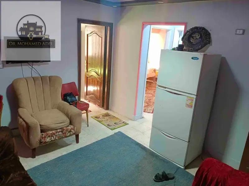 شقة في الإسكندرية