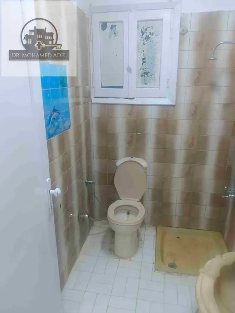 شقة في الإسكندرية