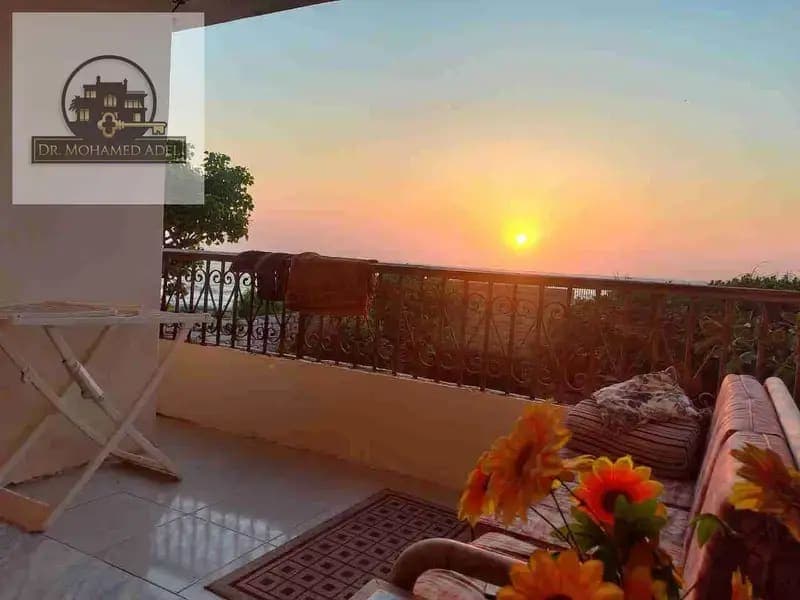 شقة في الإسكندرية