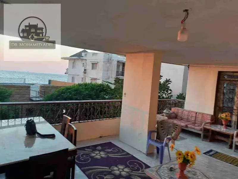 شقة في الإسكندرية
