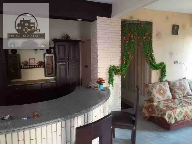 شقة في الإسكندرية