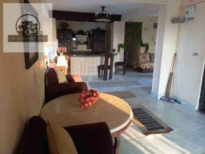 شقة في الإسكندرية