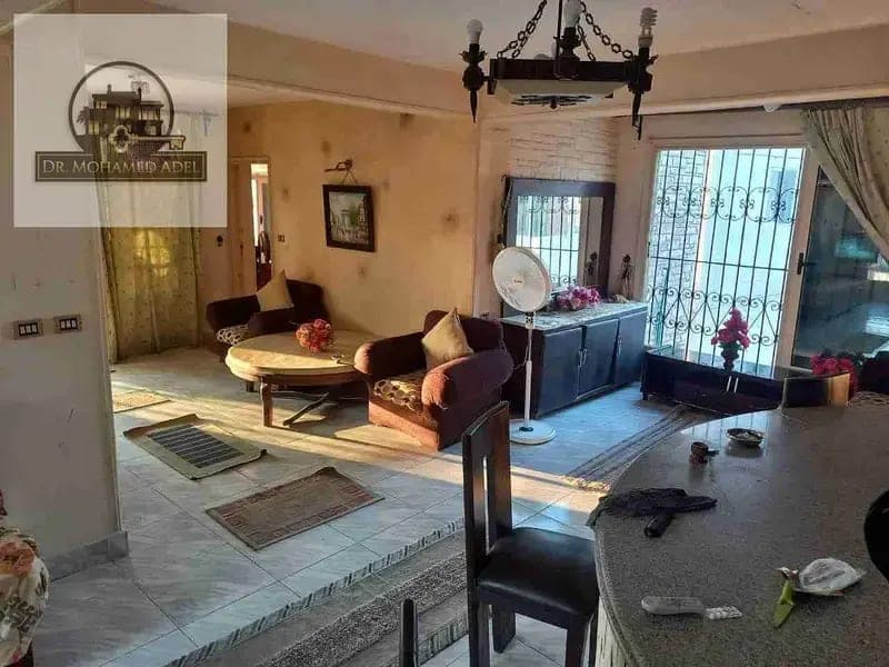 شقة في الإسكندرية