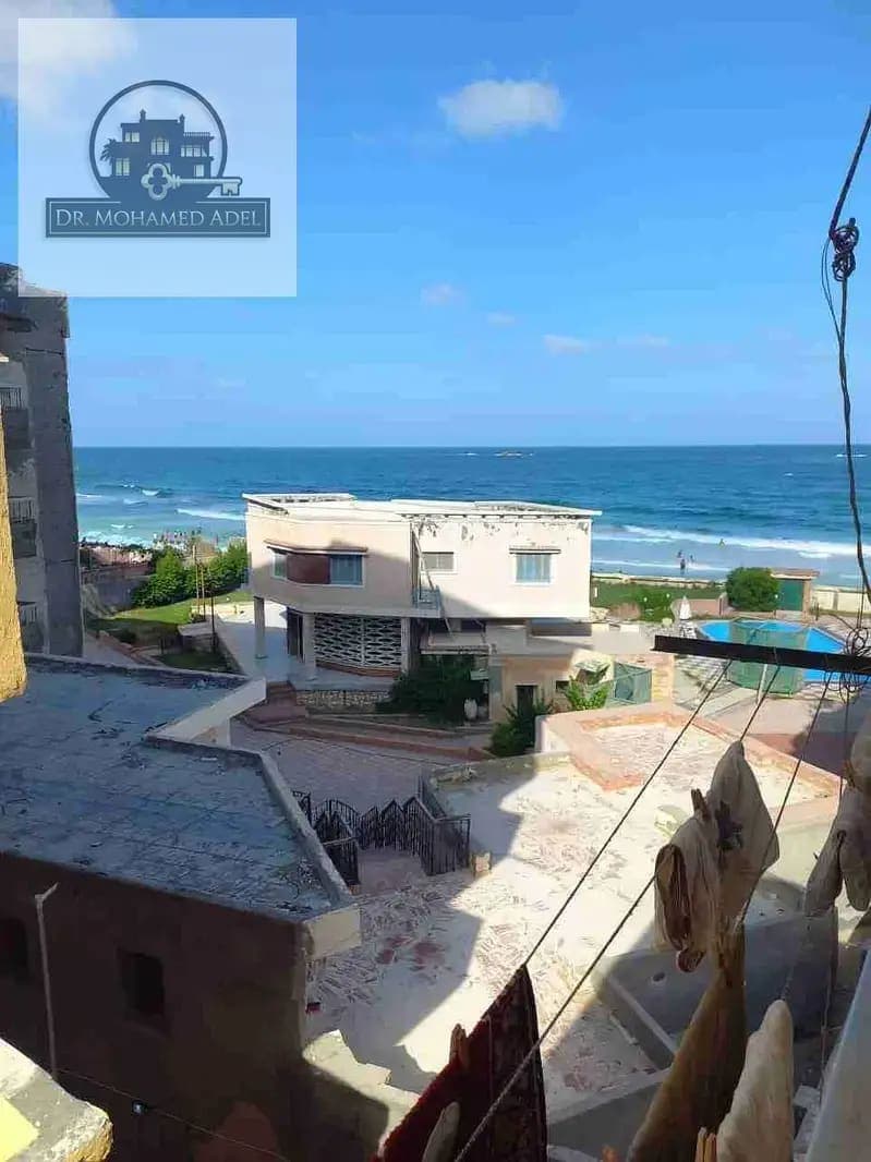 شقة في الإسكندرية