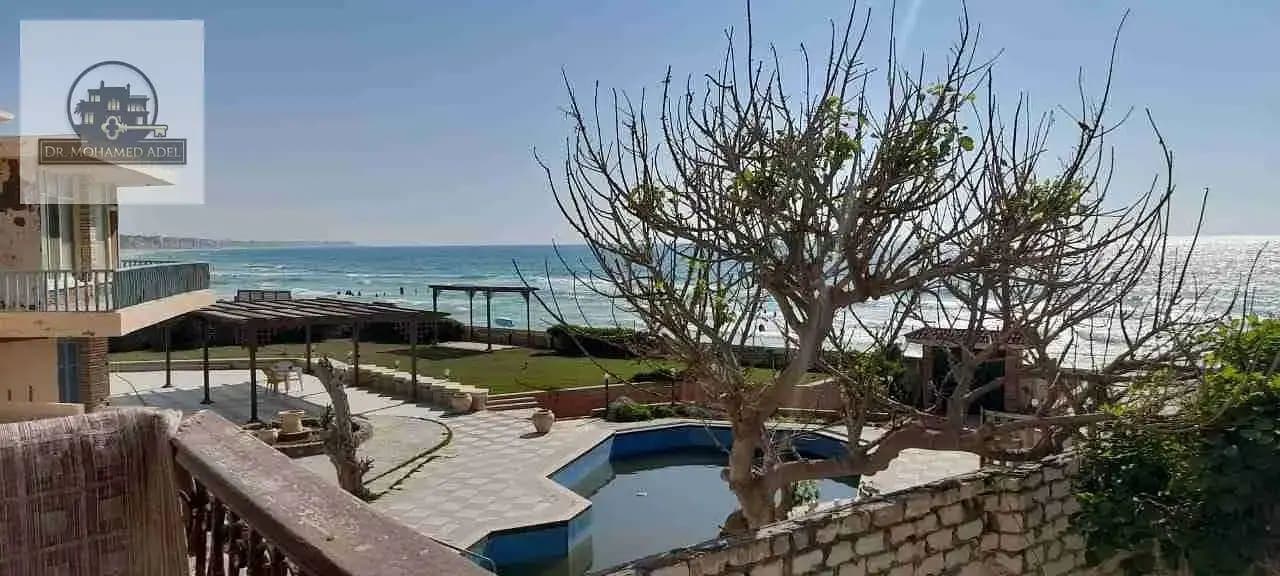 شقة في الإسكندرية