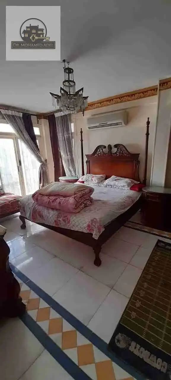 شقة في الإسكندرية