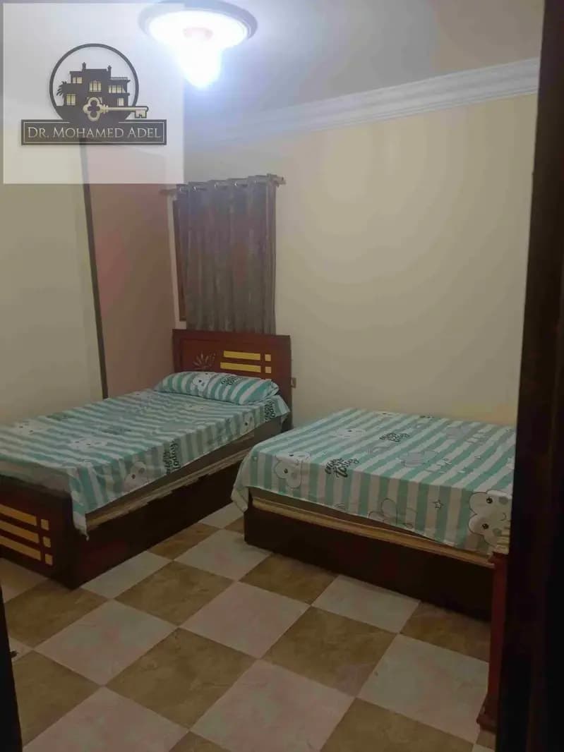 Apartment in Alexandria