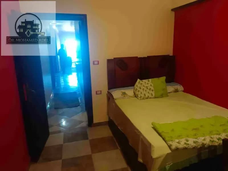 Apartment in Alexandria