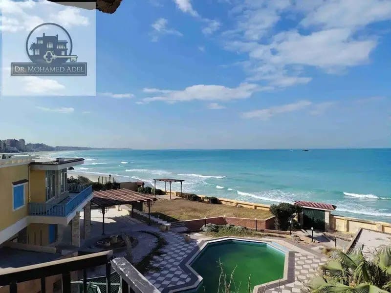 Apartment in Alexandria