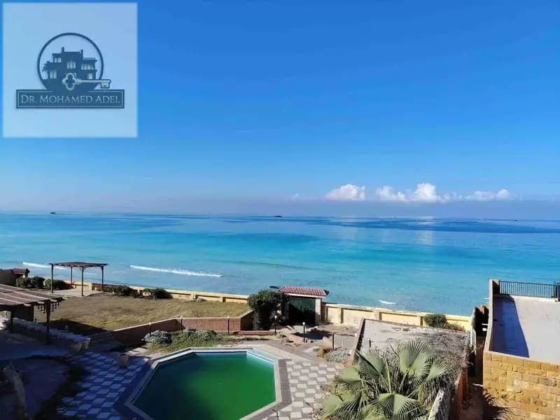Apartment in Alexandria