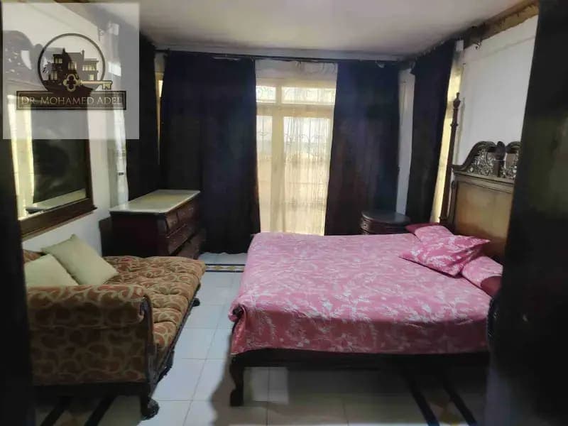Apartment in Alexandria