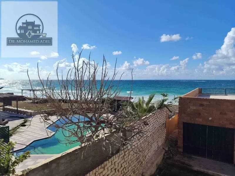 Apartment in Alexandria