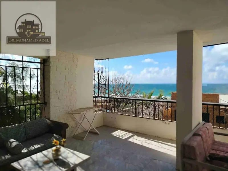 Apartment in Alexandria