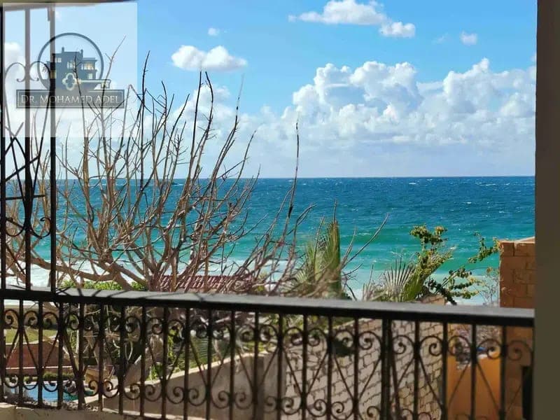 Apartment in Alexandria