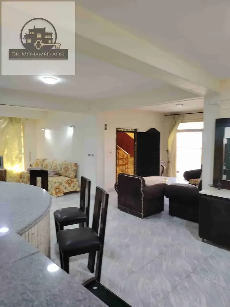 Apartment in Alexandria