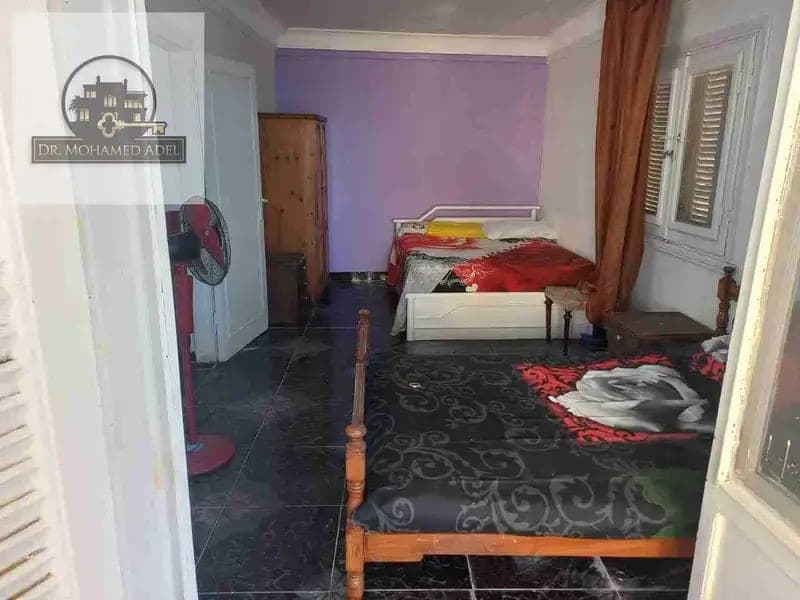 شقة في الإسكندرية