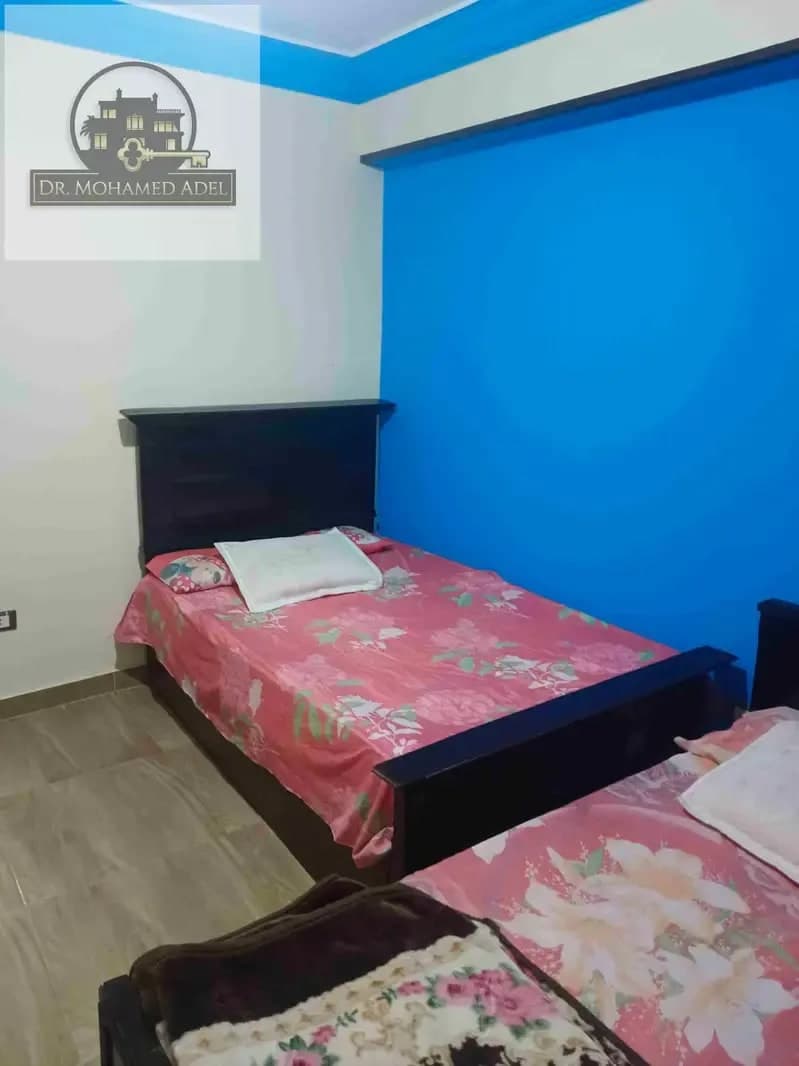 شقة في الإسكندرية