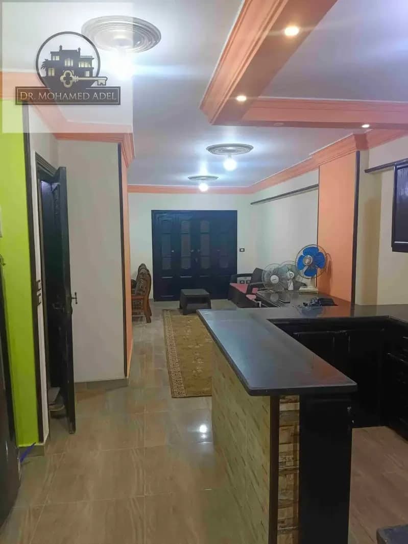 شقة في الإسكندرية