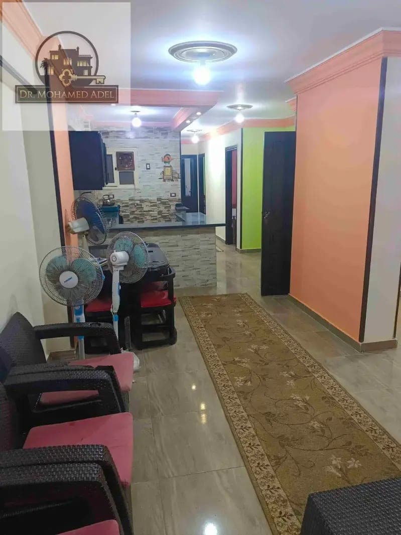 شقة في الإسكندرية