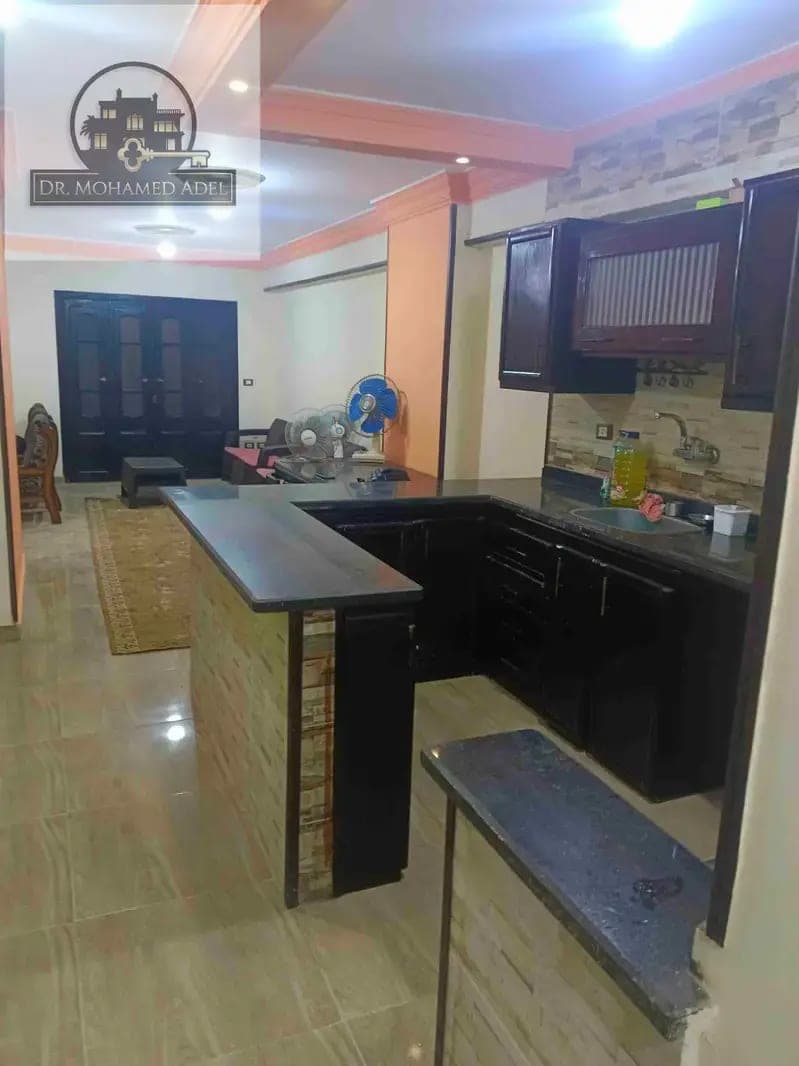 شقة في الإسكندرية