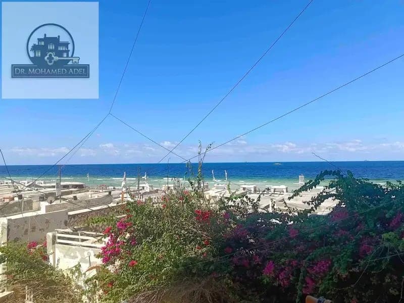 شقة في الإسكندرية