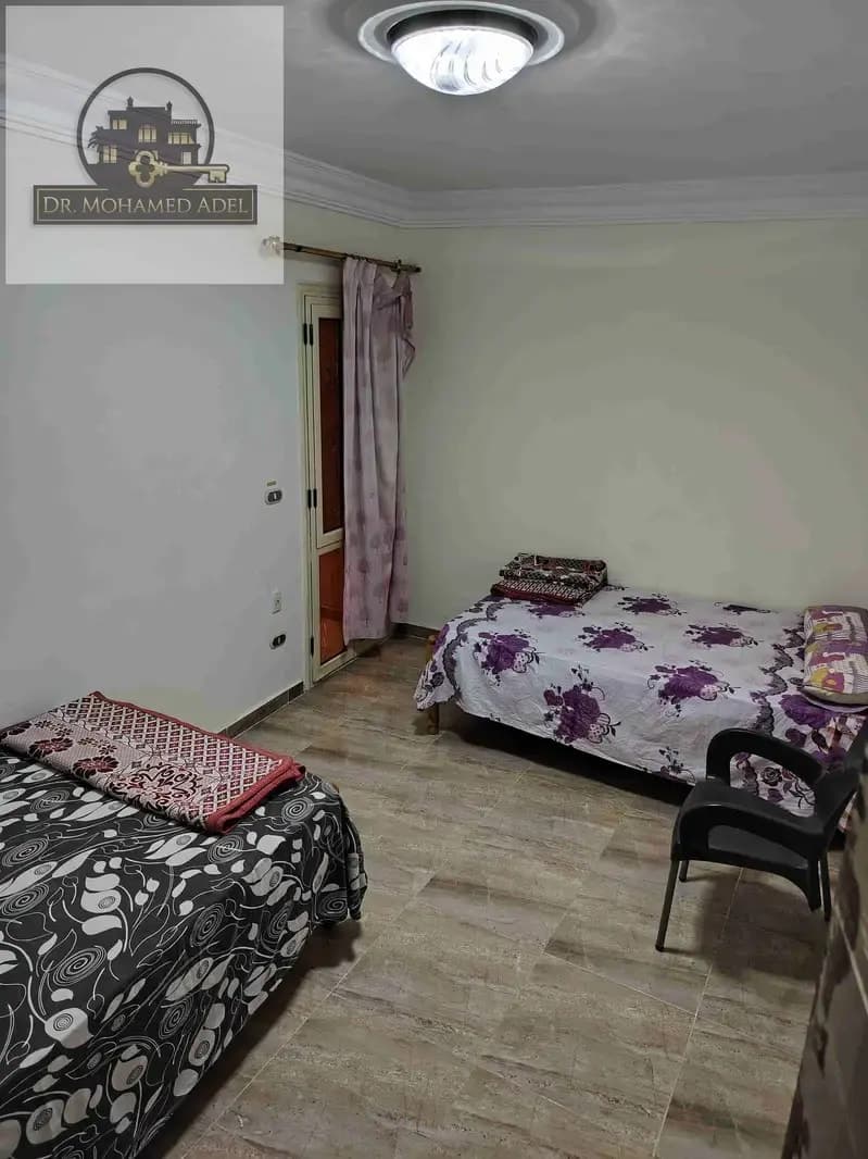 شقة في الإسكندرية