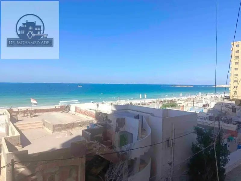 شقة في الإسكندرية