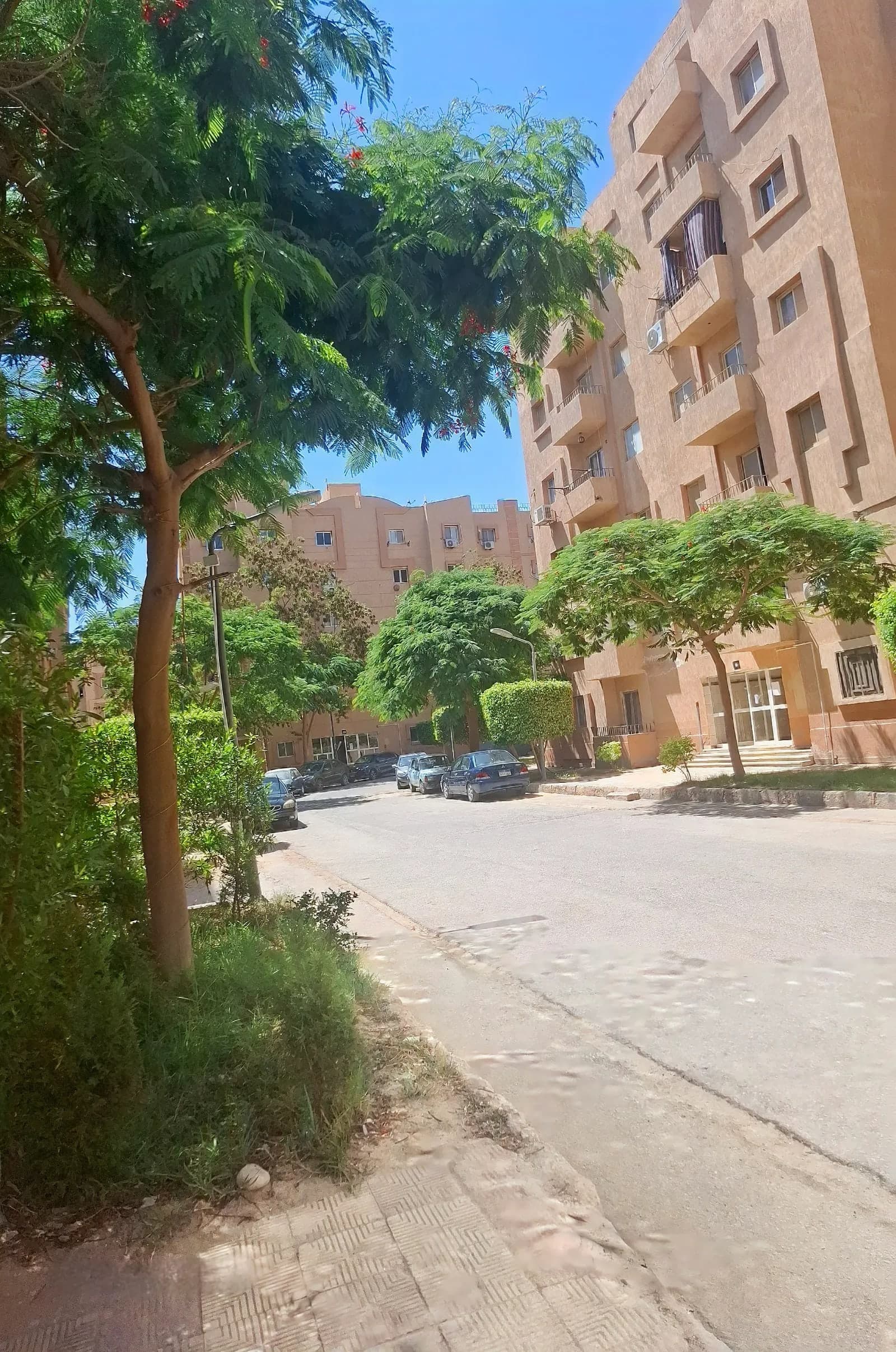 استوديو في القاهرة
