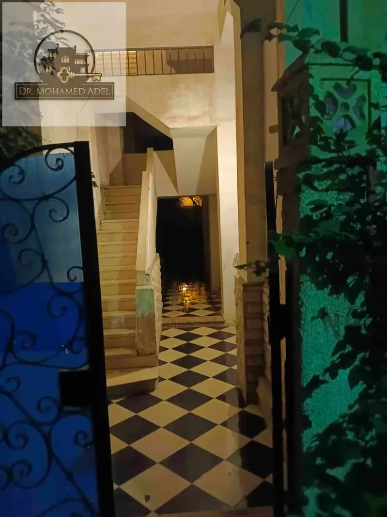 شقة في الإسكندرية