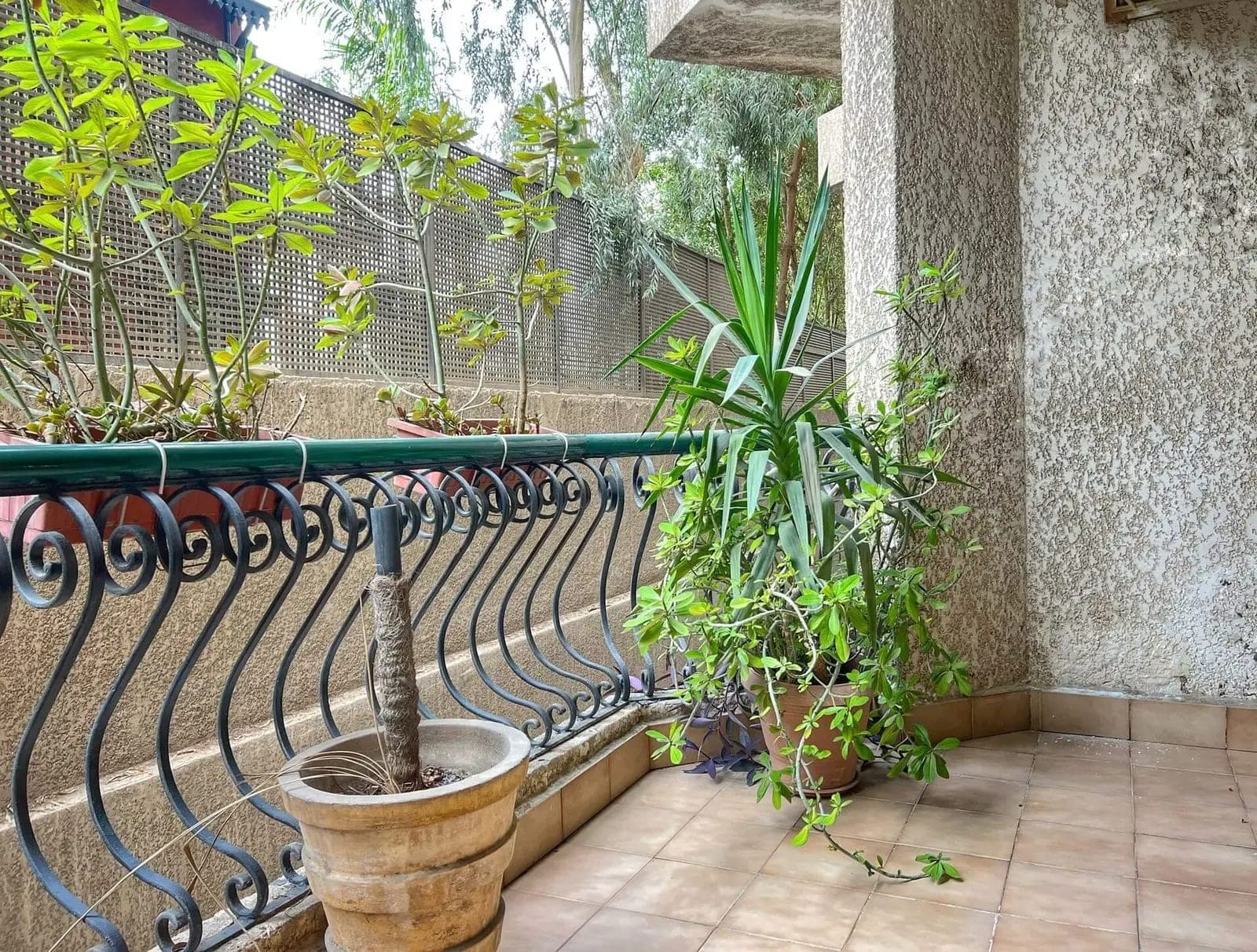 Apartment in Cairo