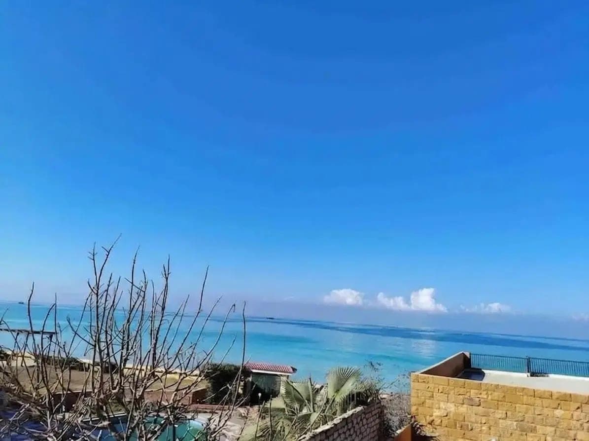 شقة في الإسكندرية