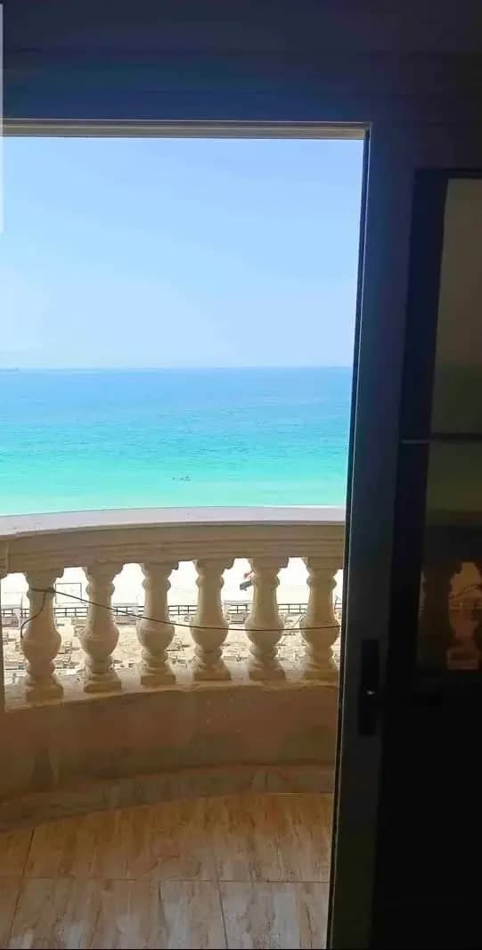 Apartment in Alexandria