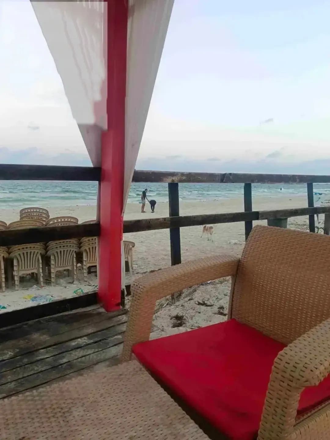 Apartment in Alexandria