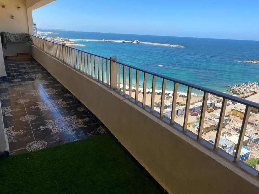 Apartment in Alexandria