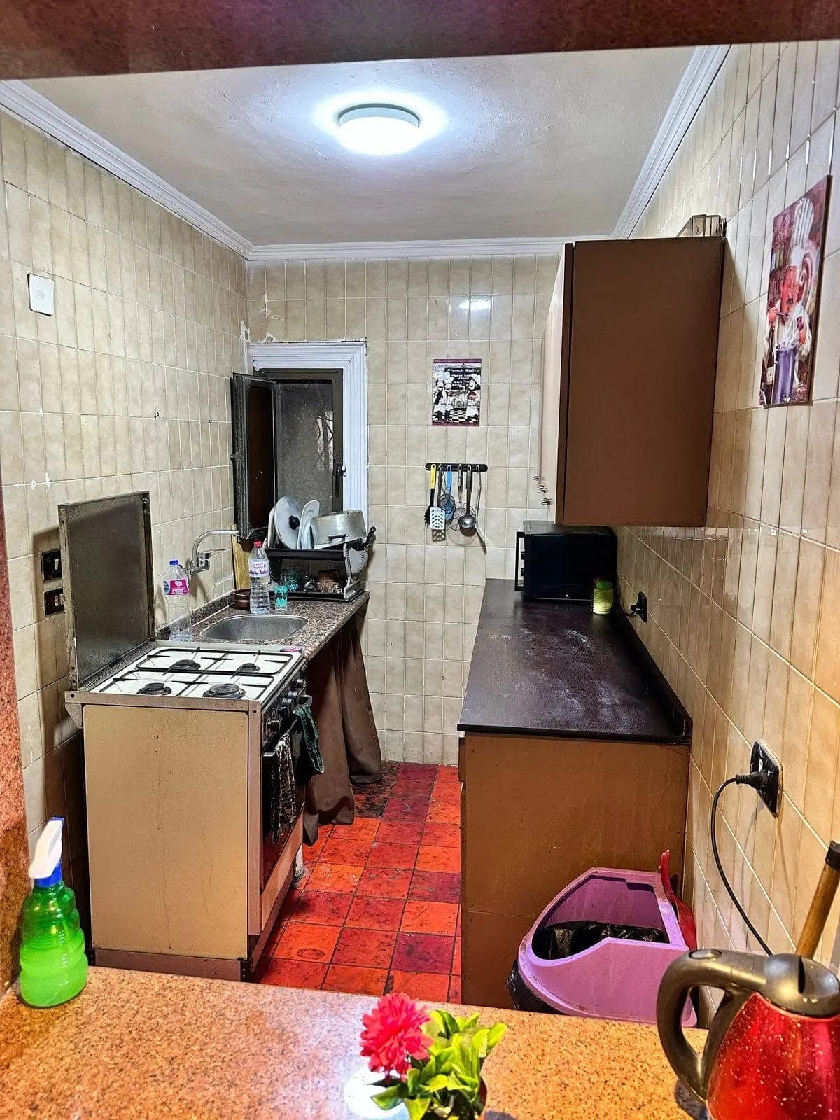 Apartment in Alexandria