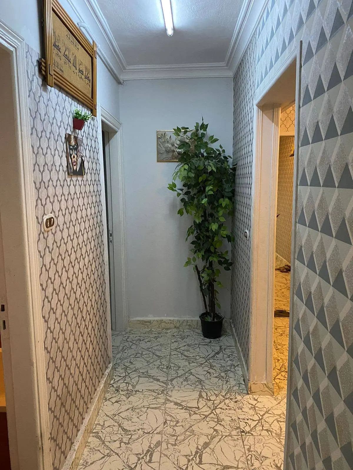 Apartment in Alexandria