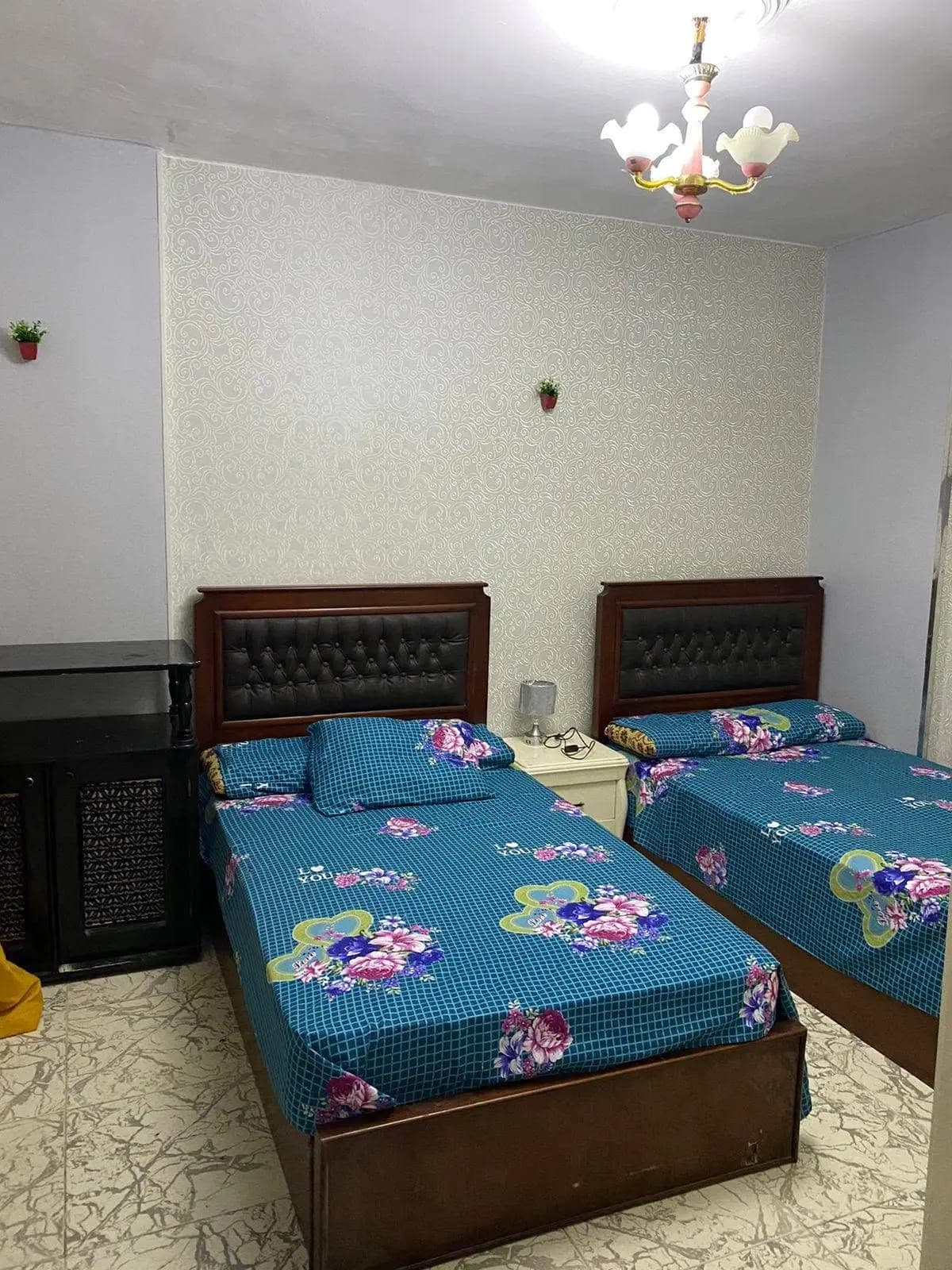 Apartment in Alexandria