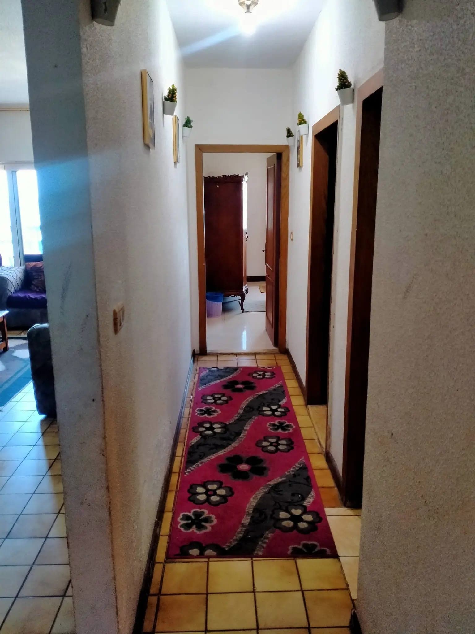 Apartment in Alexandria