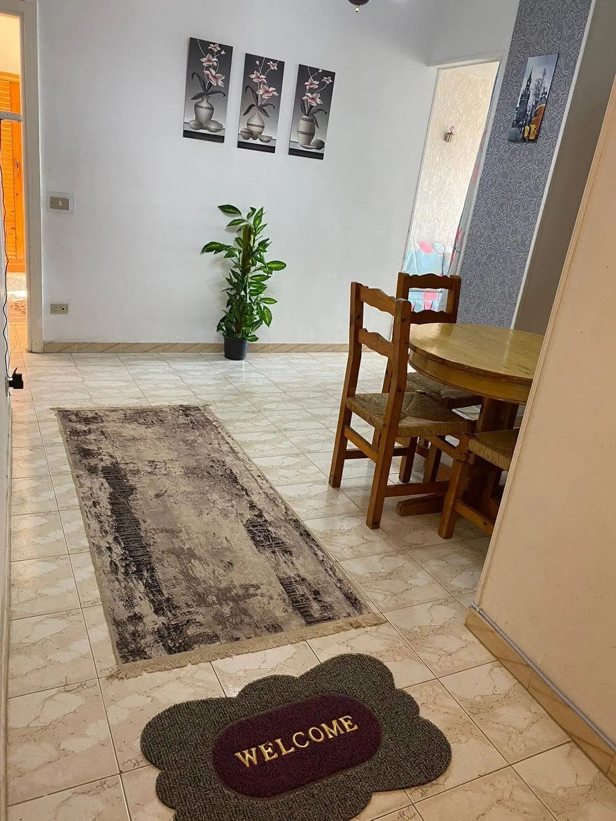 Apartment in Alexandria