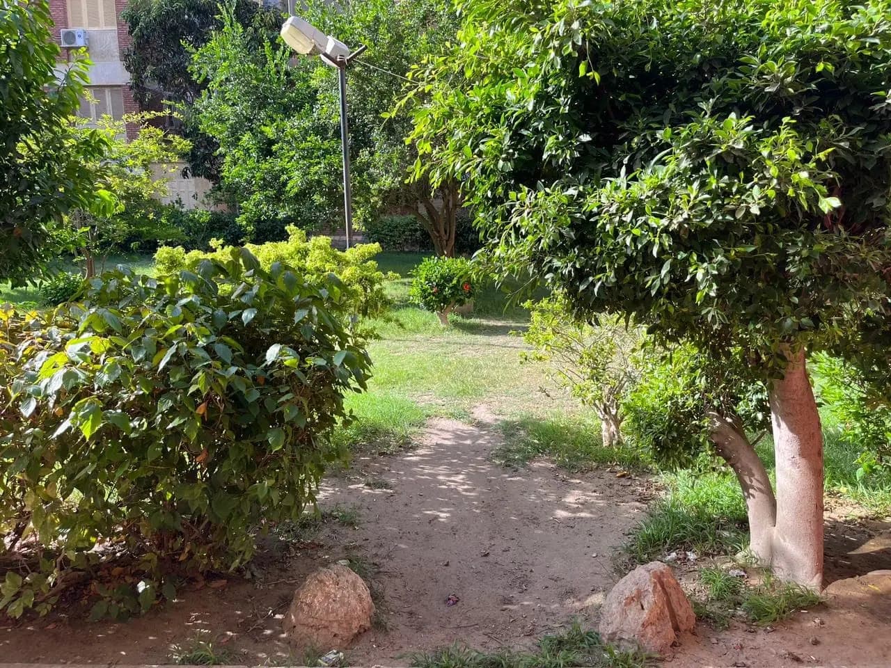 شقة في الإسكندرية