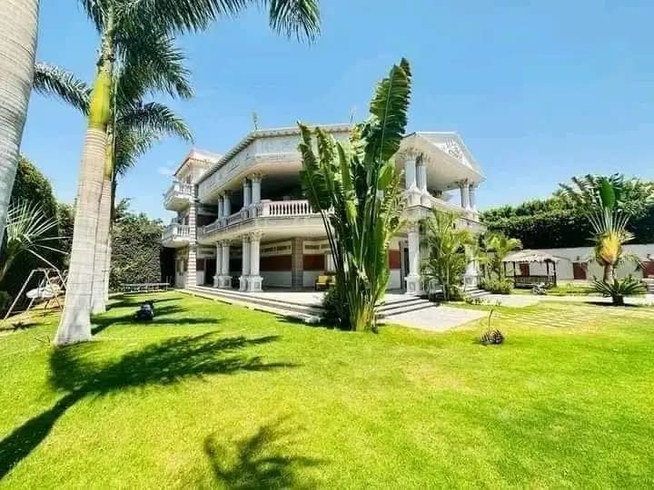 قصر في الإسكندرية