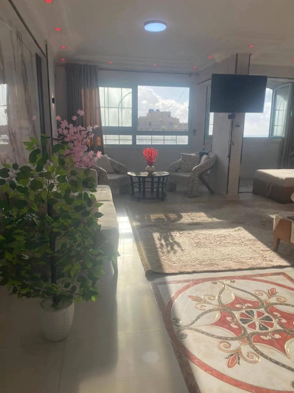 Apartment in Alexandria