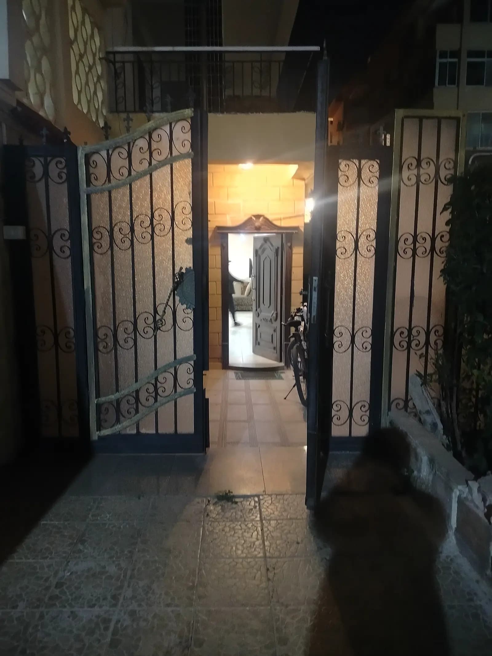 Villa in Alexandria